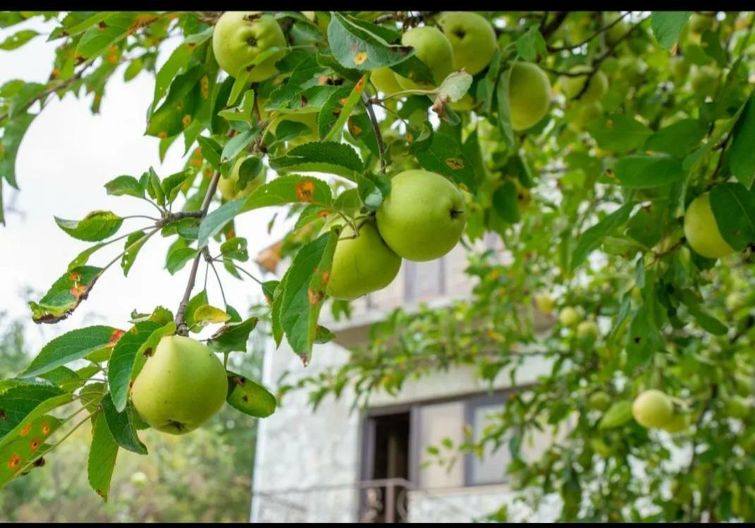 Guest House Ijevan'S Garden Ngoại thất bức ảnh