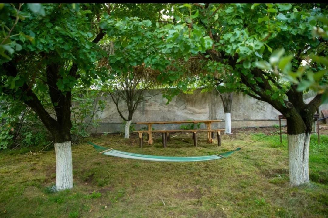 Guest House Ijevan'S Garden Ngoại thất bức ảnh